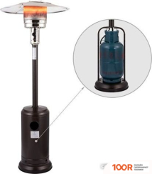 Sundays PH01-S (ЗОЛОТО) (217497)