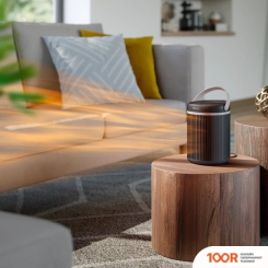 Philips CX3120/01 (217118)