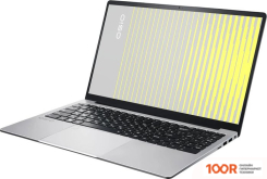 Ноутбук OSiO FOCUSLINE F150A-016 (215579)
