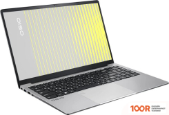 Ноутбук OSiO FOCUSLINE F150A-012 (215576)
