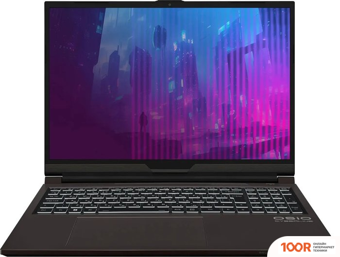 Ноутбук OSiO CYBERLINE C160I-003 (215556)