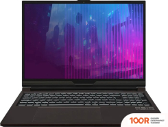 Ноутбук OSiO CYBERLINE C160I-002 (215555)