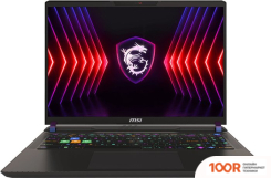 Ноутбук MSI VECTOR 16 HX A14VIG-807BY (215499)
