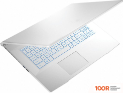 Ноутбук MSI SWORD 17 A11UC-898XRU (215321)