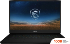 Ноутбук MSI CREATORPRO X17HX A13VKS-283XRU (214262)