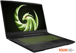 Ноутбук MSI ALPHA 17 B5EEK-040XRU (214134)