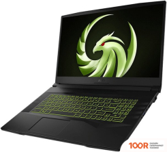 Ноутбук MSI ALPHA 17 B5EEK-040XRU (214134)