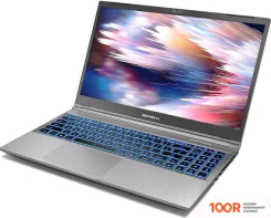 Ноутбук Mechrevo 635F1 FGM-GM5RGEE0056202 (214089)