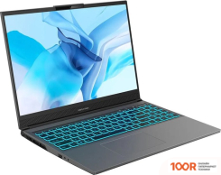 Ноутбук Maibenben X677 X677FSFNLGRE0 (214083)