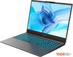 Ноутбук Maibenben X677 X677FSFNLGRE0 (214083)