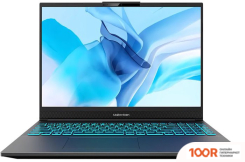 Ноутбук Maibenben X677 X677FSFNLGRE0 (214083)