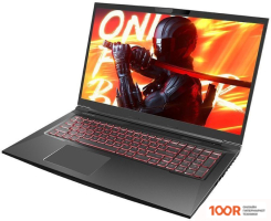 Ноутбук Maibenben X668 X668QSJELBRE0 (214082)