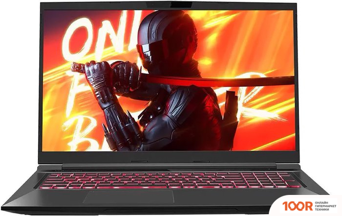 Ноутбук Maibenben X668 X668QSJELBRE0 (214082)