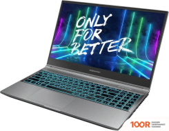 Ноутбук Maibenben X577 X577FSFMLGRE0 (214075)