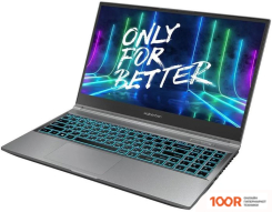 Ноутбук Maibenben X565 X565FSFMLGRE0 (214074)