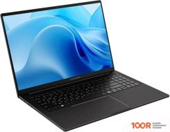 Ноутбук Maibenben P675 P6751SF0LBRE0 (214048)