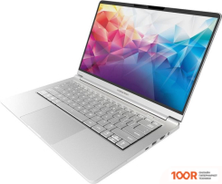 Ноутбук Maibenben P455 P4551SF0LSRE0 (214040)