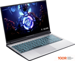 Ноутбук Machenike LIGHT 15 2023 L15-I512450H456Q165HS16512GBY (213929)