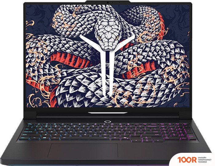 Ноутбук Lenovo LEGION Y9000P IAX10H 83F500B9CD (210954)