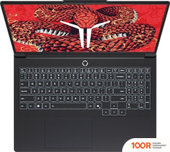 Ноутбук Lenovo LEGION R9000P ADR10 83LV0006CD (210764)