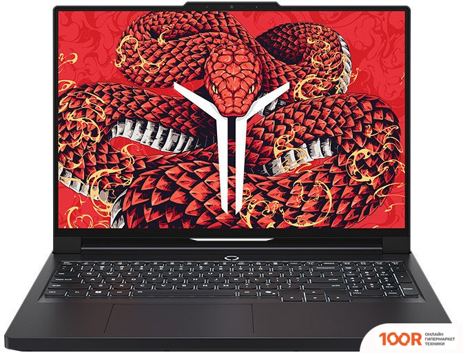 Ноутбук Lenovo LEGION R9000P ADR10 83LV0006CD (210764)