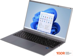 Ноутбук IRBIS 17NBP4503 (207560)