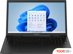 Ноутбук IRBIS 17NBC2001 (207555)