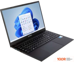 Ноутбук IRBIS 15NBP3505 (207543)