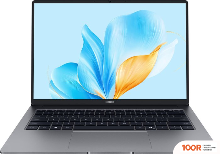 Ноутбук HONOR MAGICBOOK X14 2025 FRG-X 5301ALXJ (202297)