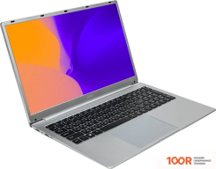 Ноутбук Hiper OFFICE SP MTL1732B10110DS (202158)