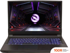Ноутбук Hiper GAMING G16 G16RTX3070C11700LX (202147)