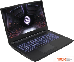 Ноутбук Hiper GAMING G16 G16RTX3070A11700LX (202141)