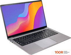 Ноутбук Hiper EXPERTBOOK MTL1601D1210UDS (202136)