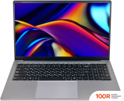 Ноутбук Hiper EXPERTBOOK MTL1601C1235UDS (202135)