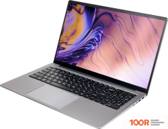 Ноутбук Hiper EXPERTBOOK MTL1601A1115DS (202113)