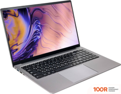 Ноутбук Hiper EXPERTBOOK MTL1601A1115DS (202113)