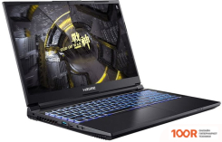 Ноутбук Hasee Z7D6 FHD (202083)