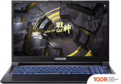 Ноутбук Hasee Z7D6 FHD (202083)