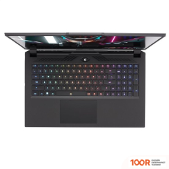 Ноутбук Gigabyte AORUS 17H BXF-74US554SH (201927)