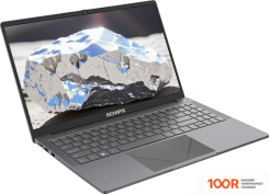 Ноутбук Echips ARGENTUM NR156G (201738)