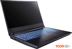 Ноутбук Dream Machines RT3060-15KZ30 (201702)