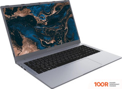 Ноутбук Digma PRO PARVUS M DN15R3-8CXW03 (201579)