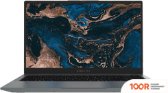 Ноутбук Digma PRO PARVUS M DN15R3-8CXW03 (201579)