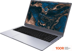 Ноутбук Digma PRO PARVUS M DN15R3-8CXW03 (201579)
