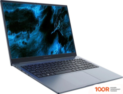 Ноутбук Digma PRO PACTOS DN16P5-ADXW01 (201575)