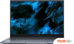 Ноутбук Digma PRO PACTOS DN16P5-ADXW01 (201575)