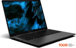 Ноутбук Digma PRO PACTOS DN14P5-ADXW02 (201573)