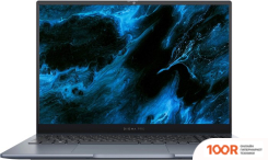 Ноутбук Digma PRO PACTOS DN14P5-ADXW02 (201573)