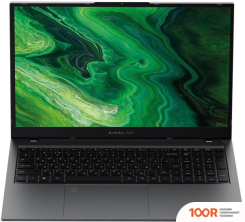 Ноутбук Digma PRO FORTIS M DN17P5-8DXW01 (201565)