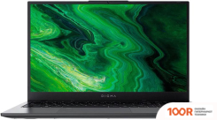 Ноутбук Digma PRO FORTIS M DN17P3-8CXN01 (201559)